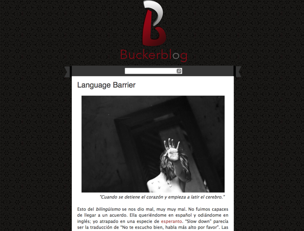 Buckerblog 2013 Blogger